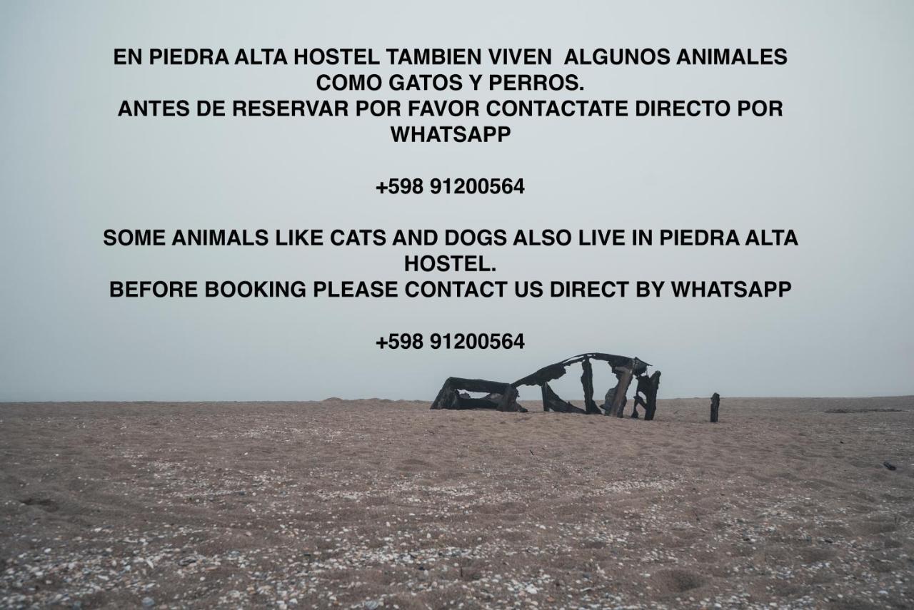 Piedra Alta Hostel & Suites Ла Педрера Екстериор снимка
